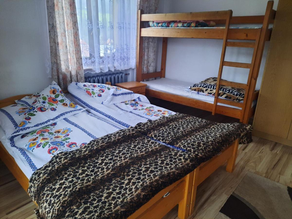 Apartamento U Gabi Poronin